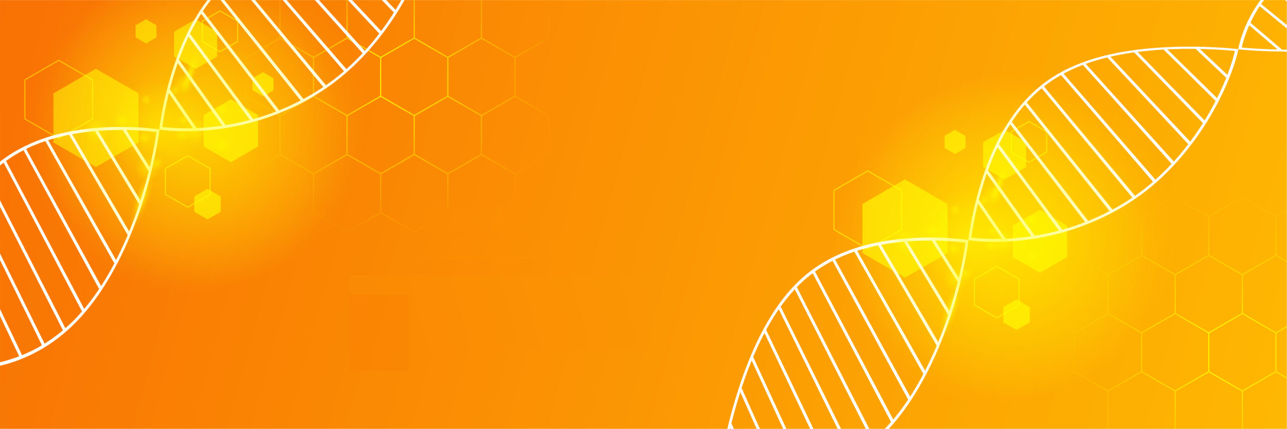 Modern gradient orange and yellow abstract banner background design template